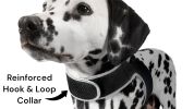 Mini USB Rechargeable GPS GSM Collar Realtime Tracker with Power Alert Size:L