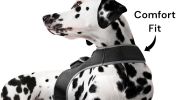 NEW GSM GPRS GPS Trackers for Pets w/ Realtime Alerts for Surveillance Size:L